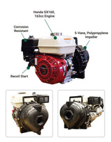 Banjo Transfer Pump | 2 In. | Recoil Start | Honda GX160 - Banjo Pump