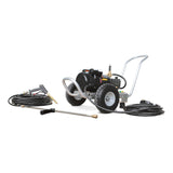 Dual Mister - HD 2.0/1000 - Karcher